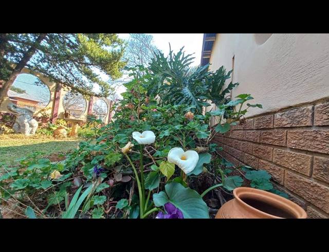 4 BEDROOM HOUSE FOR SALE IN PARKTOWN ESTATE